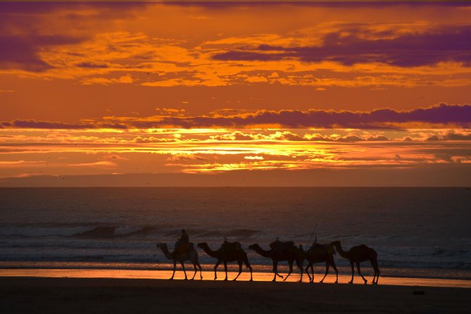 3 hours ride on camel at sunset - Who should book this Essaouira sunset ride