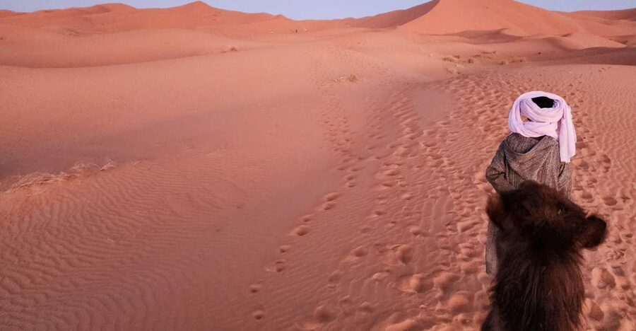 3D Deluxe Experience: Marrakech to Merzouga w/ Quad Option - What the guide does for you: why some names keep coming up