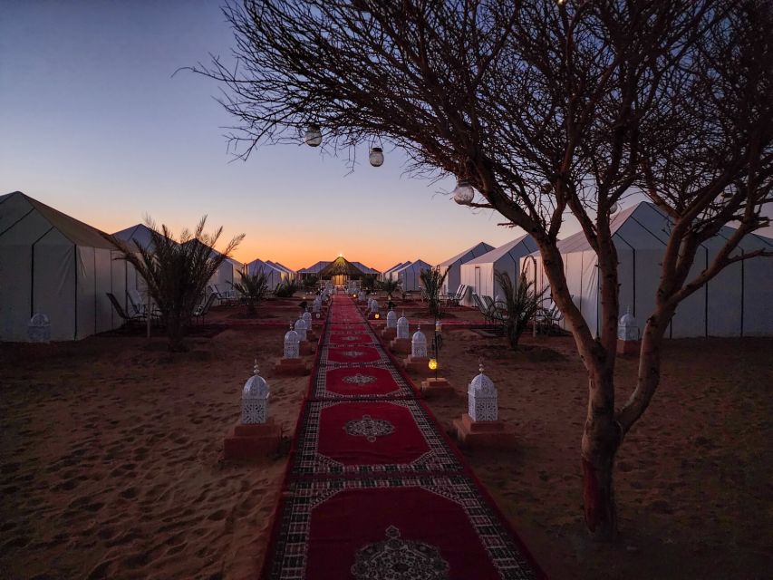3D Deluxe Experience: Marrakech to Merzouga w/ Quad Option - Who this tour suits best, and who should adjust expectations