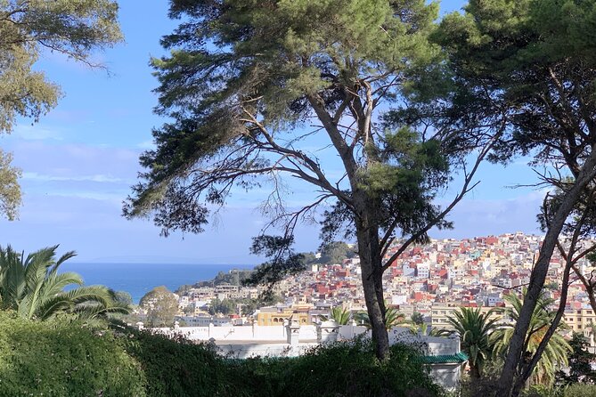 3h Private Walking Tour in Tangier Kasbah Medina & Colorful Souks - Hotel pickup and a guide who handles the details