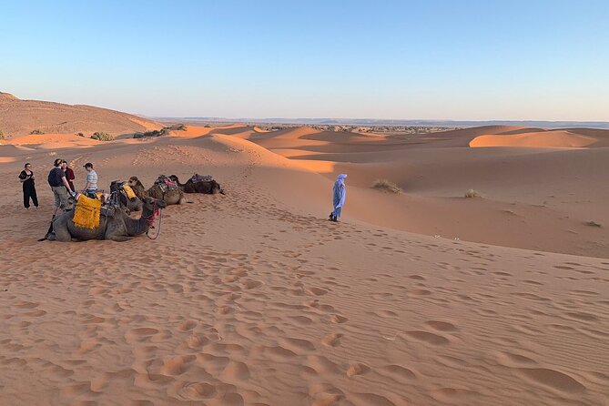 4×4 Jeep Desert Safari Tour with Lunch and Camel Ride - The 8-hour rhythm: timing, comfort, and what you can realistically do