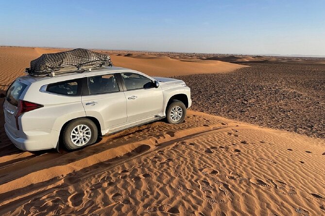 4×4 Jeep Desert Safari Tour with Lunch and Camel Ride - Souss Massa National Park: wildlife spotting that rewards patience