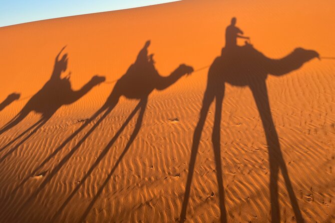 4-Day, 3-Night Marrakech to Marrakech Desert tour - Sahara sunrise, shower and breakfast, then the souks of Rissani