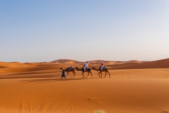 4 Day Authentic Desert Tour From Fes To Marrakech - Day 2: Gnawa in Khamlia, M’Fis history, tea in a Berber tent, then Erg Chebbi by camel