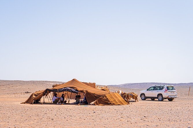 4 Day Authentic Desert Tour From Fes To Marrakech - Day 1: Ifrane coffee, Azrou cedar forest, Ziz palms, then Merzouga dunes