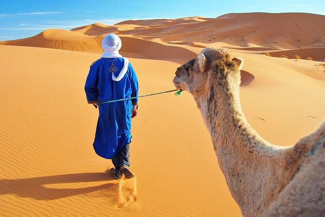 4 Day Desert tour from Marrakech to Fez - Marrakech to Tizi nTichka Pass: the road trip that frames everything