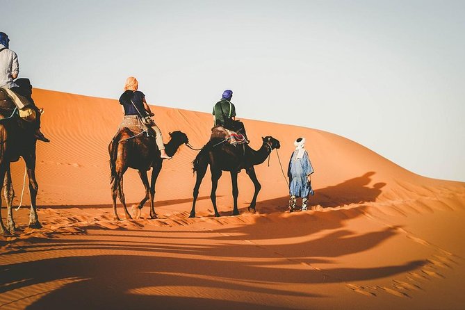 4-Day Guided Desert Tour from Marrakech - Fossils d’Erfoud and Tafilalet Oasis: A Stop With Unexpected Curiosity