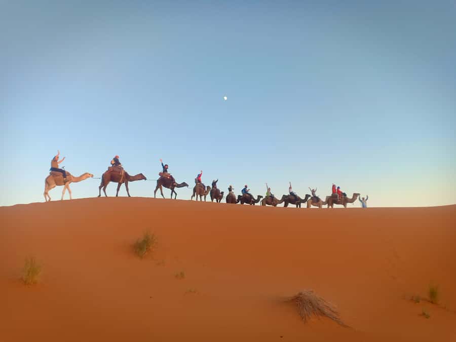 4-Day Marrakech to Merzouga Sahara Adventure & Camel Trek - Monkey Fingers in Dades Valley, plus a Real Walk Instead of a Drive-by
