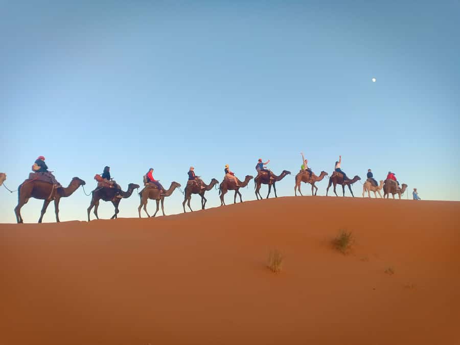 4-Day Marrakech to Merzouga Sahara Adventure & Camel Trek - Price, Inclusions, and What You’ll Want to Budget for Real-World Costs