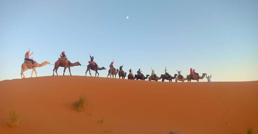 4-Day Marrakech to Merzouga Sahara Adventure & Camel Trek - Who This Tour Suits Best, and Who Might Want Another Option