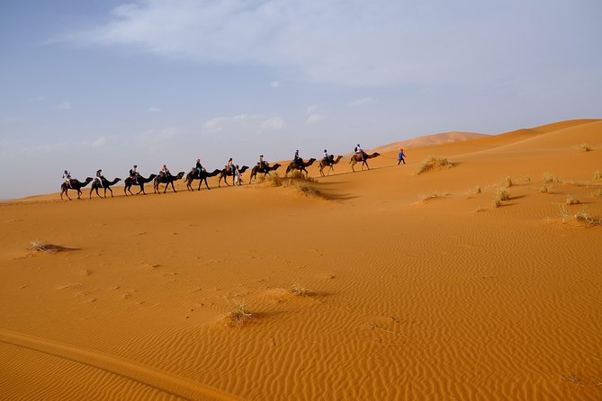 4 Day Merzouga Desert Trip from Marrakech - Who Should Book This 4-Day Marrakech to Merzouga Trip
