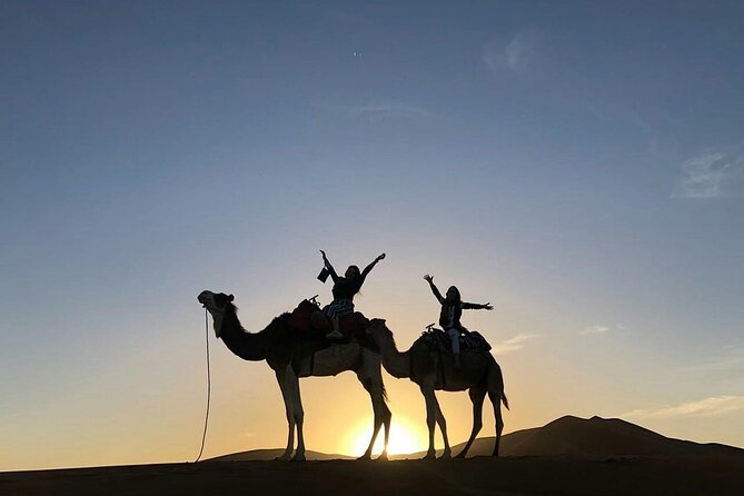 4 Day Morocco Desert Tour from Marrakech to Fes - Comfort, Safety, and Private Transport That Saves You Energy