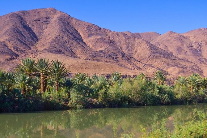 4 Day Sahara Desert Trip From Marrakech: Marrakesh - Sahara Desert - Marrakesh - Day 4: Roses in Kelaa M’Gouna, palm oasis Skoura, and return to Marrakesh