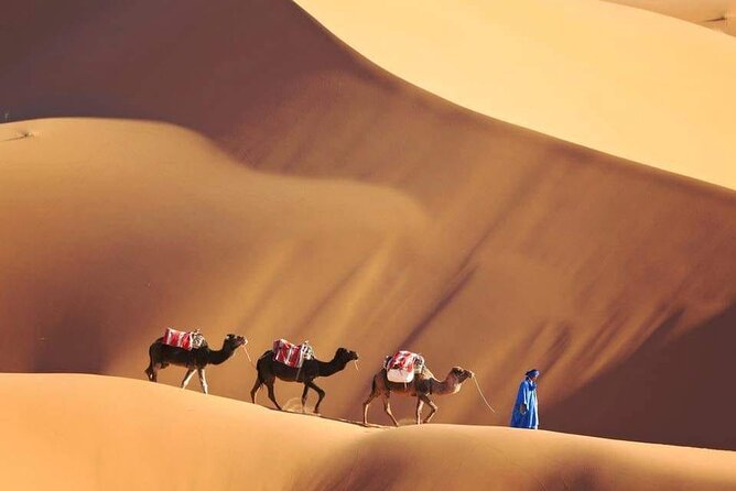 4 Day Sahara Desert Trip From Marrakech: Marrakesh - Sahara Desert - Marrakesh - Who this trip suits best