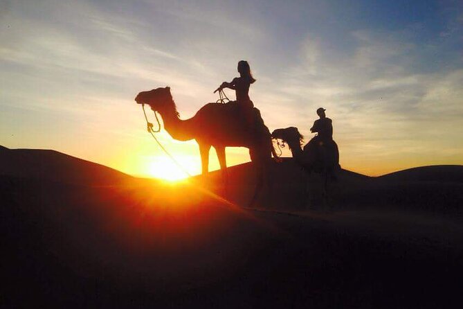 4-Days Adventure Desert Private Tour from Marrakech - Tamegroute Lunch With a Family, Then Toward the Dunes