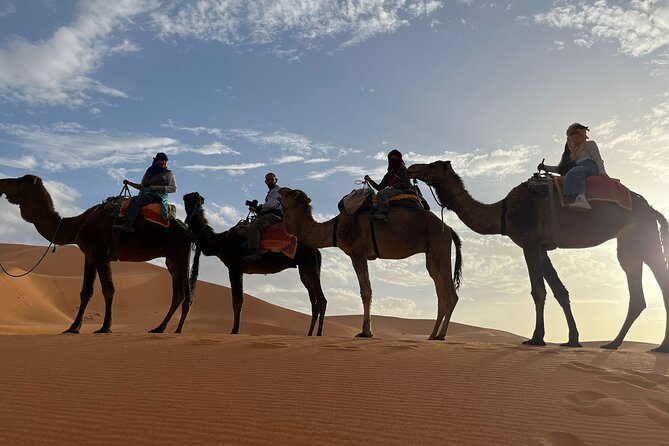 4-Days Adventures from Marrakech to Fez via Gorges & Desert - Day 4: Ziz Valley, Berber villages, Middle Atlas, and Fez arrivals