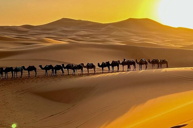 4 Days Desert Tour From Marrakech to Fes via Merzouga Dunes - Marrakech Pickup, Tizi-n-Tichka Views, and Ait Benhaddou