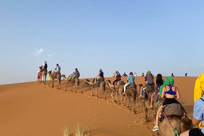 4 Days Desert Tour From Marrakech to Fes via Merzouga Dunes - Merzouga Back to Reality, then on to Fez via Ziz Valley and Ifrane