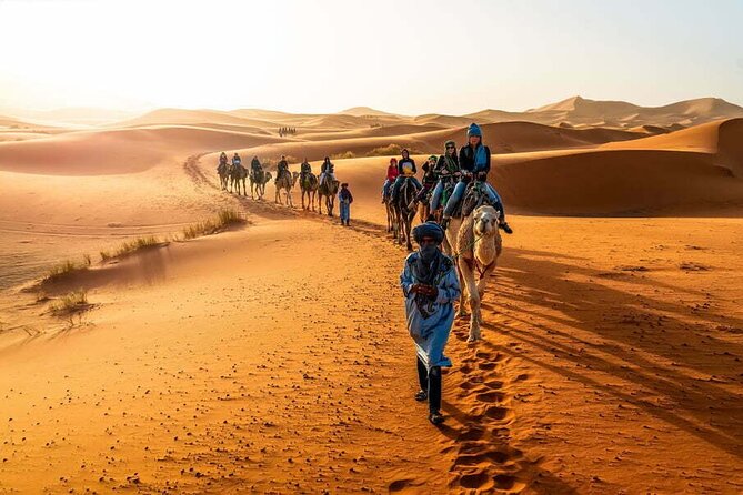 4-Days Marrakech to Marrakech Désert Tour - Day 1: Marrakech to Ouarzazate via the High Atlas, Real Stops Along the Way