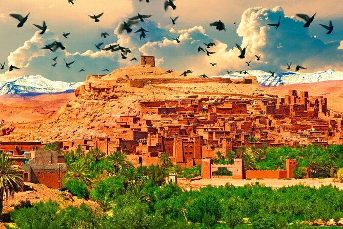 4-Days Marrakech to Marrakech Désert Tour - Guides, Service, and the Human Part of the Trip