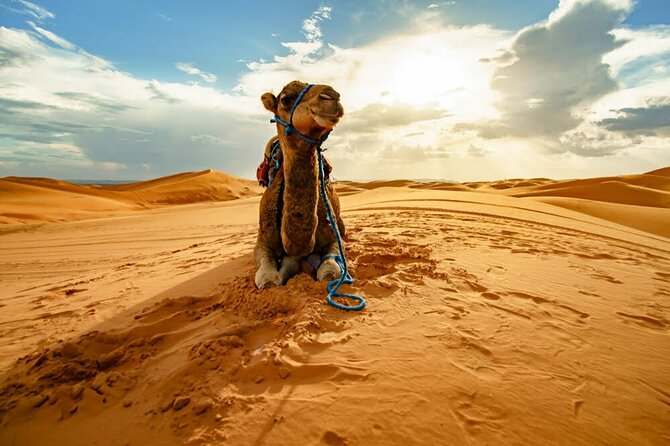 4-Days Marrakech to Marrakech Désert Tour - Day 3: Sunrise in the Desert, Shower Reset, Then Rissani Souks