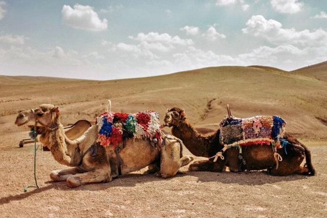 4 Days: Private Desert Tour from Marrakech to Merzouga & Camel Trek - Todgha Gorges, Tinghir Oasis Energy, And Why Limestone Canyons Feel Different