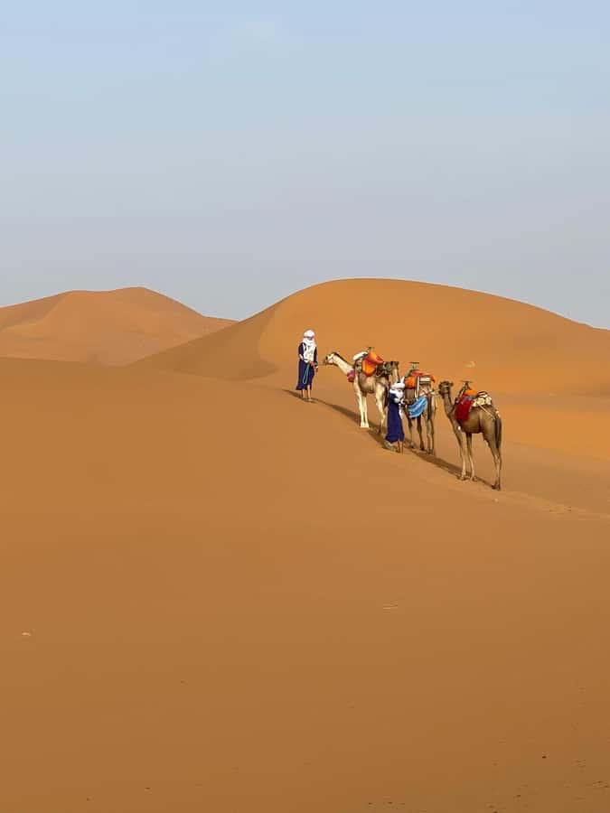 4 days Sahara Desert Tour From Marrakech To Merzouga dunes - Morocco’s Big Switch in Four Days, Marrakech to Merzouga