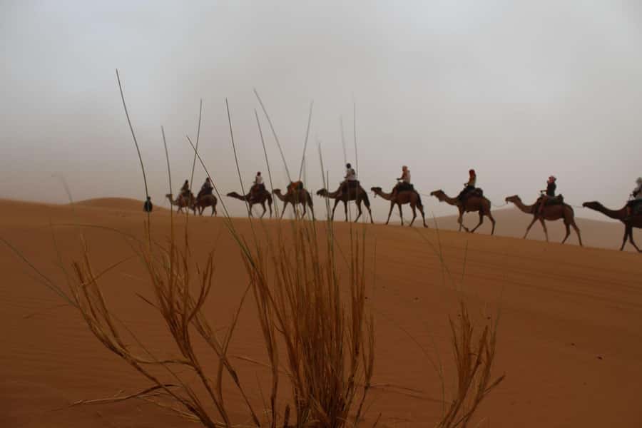 4 days Sahara Desert Tour From Marrakech To Merzouga dunes - Crossing Tizi n Tichka, Where the Weather and Views Change