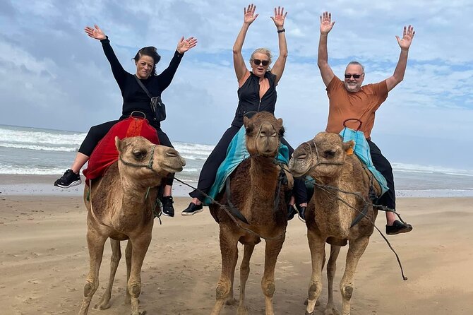 4-hour Private Tour of Tangier - Achakkar Beach and the Camel Ride Moment
