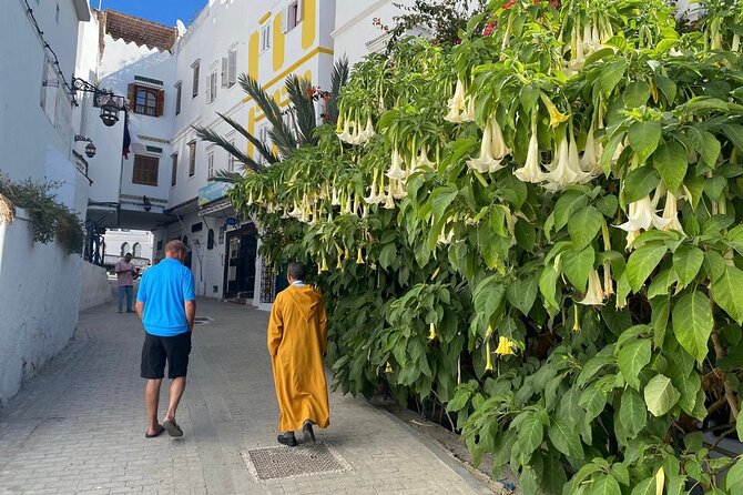 4-hour Private Tour of Tangier - Medina of Tangier: Socco and Basar Markets Without Getting Lost