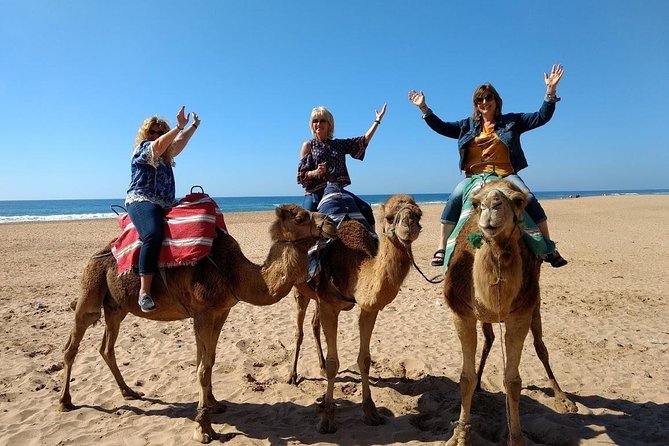 4 Hour Tangier City Private Tour - Kasbah Museum of Mediterranean Cultures: A Smart Use of 15 Minutes