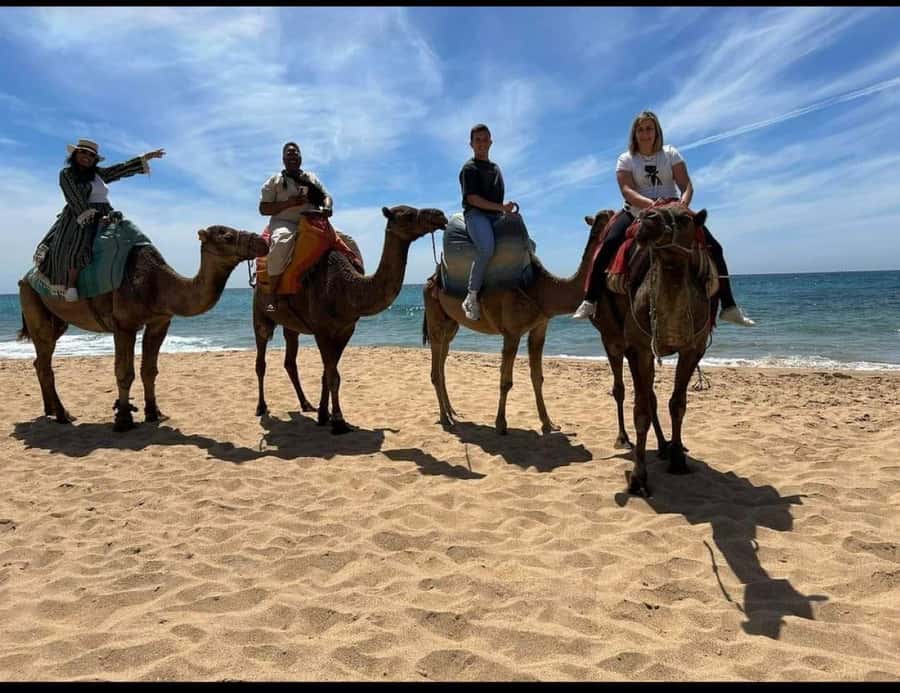4 Hours Deluxe Guided Tour of Tangier + A tour with camels - Achakkar Beach camel ride: a short ride with big cultural context