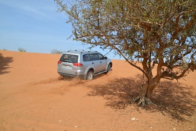 4 WD Agadir Small desert discovery including lunch - Small oasis time, banana plantations, and the palm-shaded contrast