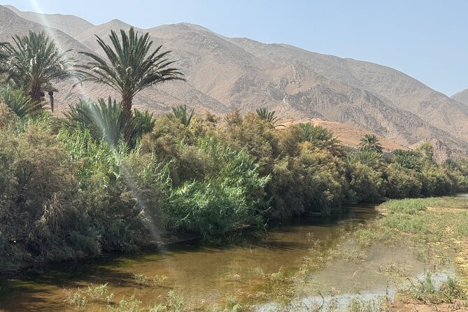 5-Day Private Tour to Sahara and ErgChebbi from Marrakech - Todra Gorges to Erg Chebbi: Camel Ride Dunes, Tent Camp Dinner, and Stargazing