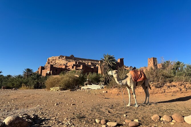 5-Day Private Tour to Sahara and ErgChebbi from Marrakech - Price and Logistics: Is $743.03 per Person Good Value?