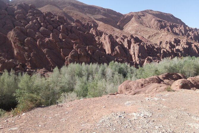 5 Days Private Tour from Casablanca to Fes and Sahara Desert - Rissani Market and Tafilalt Oasis Irrigation, Desert Culture Beyond the Dunes