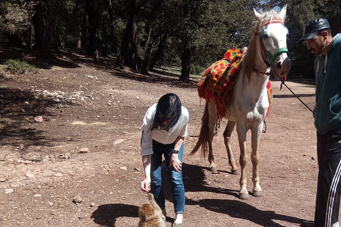 5 Days Private Tour from Casablanca to Fes and Sahara Desert - Price and Value, Is $1,800.25 Per Person Fair?