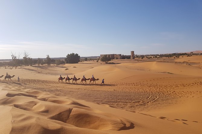 5 Days Tour From Fes - Private tour with pickup: comfort and control without the chaos