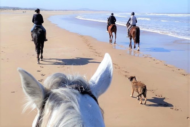 5 hours ride + picnic - The five-hour route: beaches, dunes, eucalyptus forests, and real countryside