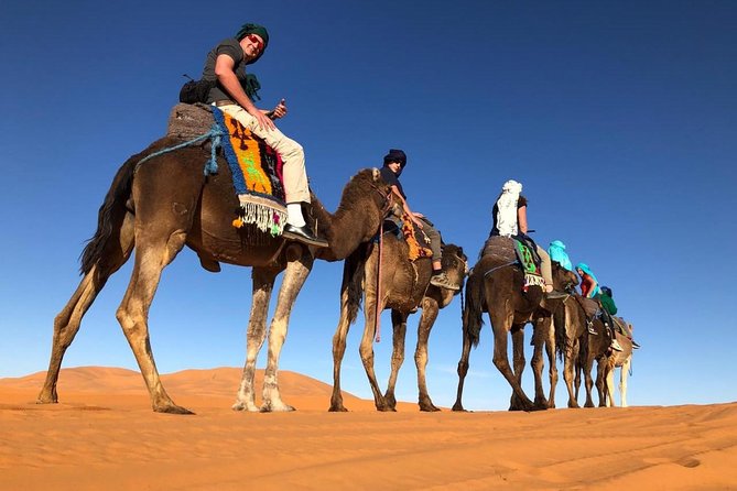 7-days: Casablanca to Chefchaouen then Fes and Sahara Desert - Camel Trekking - Casablanca Start and the Hassan II Mosque Timing