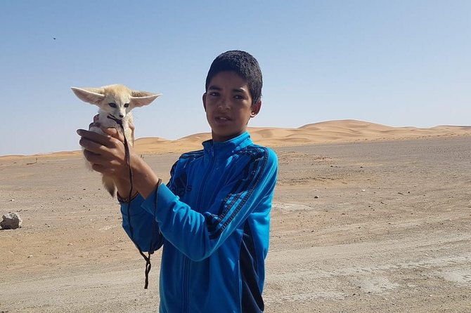 7-days: Casablanca to Chefchaouen then Fes and Sahara Desert - Camel Trekking - Merzouga Desert Day: Flamingo Lake, Khamlia Lunch, and a Real Camel Trek