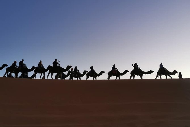 7 Days Discovery The Atlas Mountains & Luxury Sahara Desert From Casablanca - Price and what you’re actually paying for