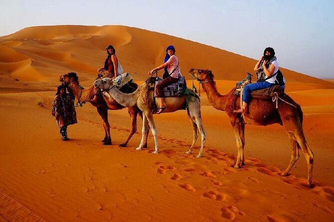 7 Days Luxury Desert Tour From Casablanca to Marrakech via fez -Camel trekking - Sunrise in the dunes and breakfast, then back on camel
