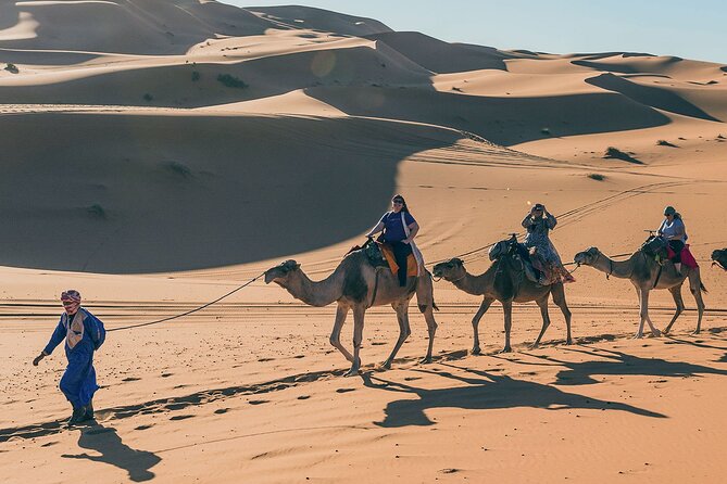 7 Days Luxury Desert Tour From Casablanca to Marrakech via fez -Camel trekking - Ouarzazate and Ait Ben Haddou: Atlas scenery with film history