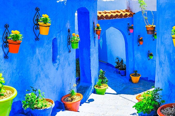 7 Days Luxury Desert Tour From Casablanca to Marrakech via fez -Camel trekking - Erg Chebbi sunset camel ride: the desert moment done right
