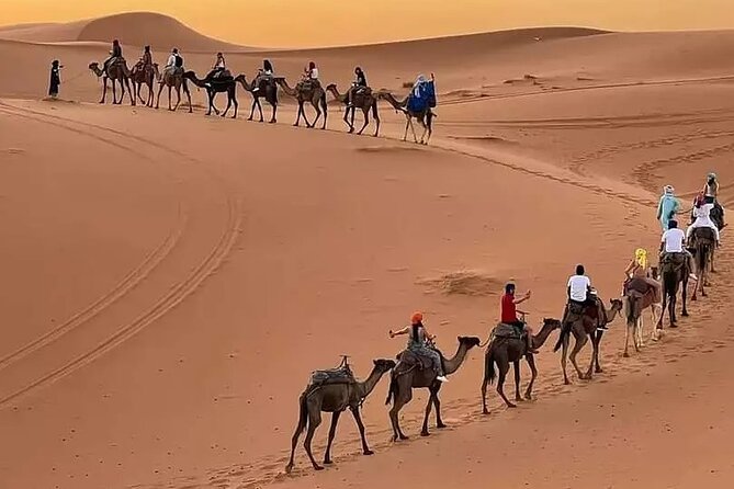 7 days Tour from Tangier to Marrakech Morocco Tours - Day 1: Tangier pickup at 8:00 am, then Chefchaouen’s blue alleys