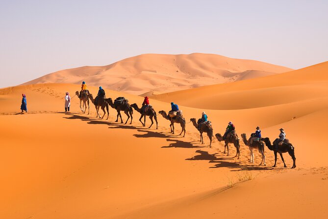 7D Desert Private Tour From Marrakech By Fes And Blue Chefchaouen - Fes el-Bali full day: Royal Palace, Mellah, and the Old Medina with a licensed local guide