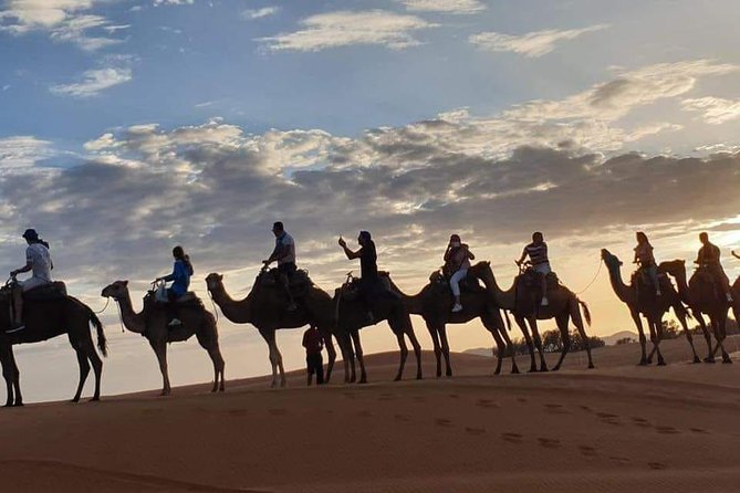 8-Day Morocco Adventure: Imperial Cities & Sahara Desert Trek - Morocco’s “two-speed” start: Rabat, then Chefchaouen’s blue streets