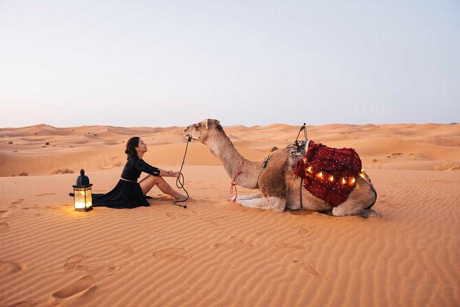 8 Days 7 Nights private tour Marrakech-Sahara Desert-Chefchaouen - Key Highlights On This Marrakech-Sahara-Chefchaouen Route