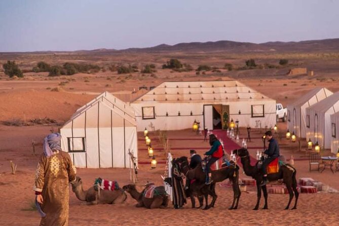 8 Days Morocco Private Tour; Imperial Cities and the Desert - Meknes and Volubilis: a history break that keeps the drive worthwhile